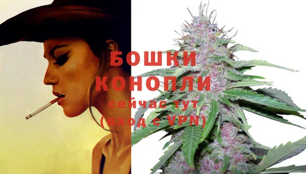 a pvp Няндома