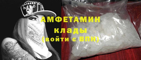 индика Вязьма